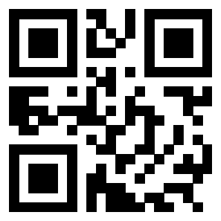 3304807384 - Immagine del QrCode associato
