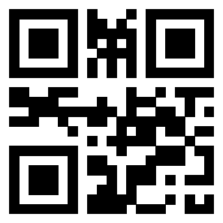 3304808061 QrCode associato