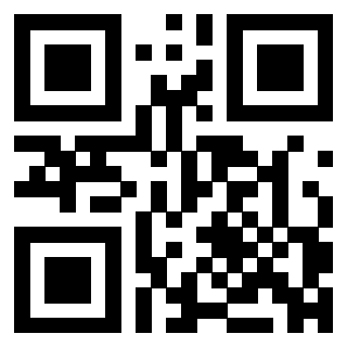 QrCode di 3304808243