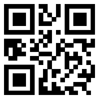 3304808256 QrCode associato