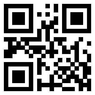 QrCode di 3304808305