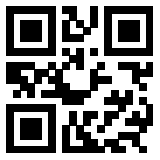 QrCode di 3304815333