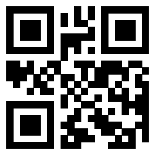 QrCode di 3304838768