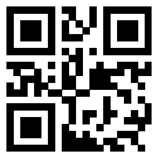 Il Qr Code di 3304838847