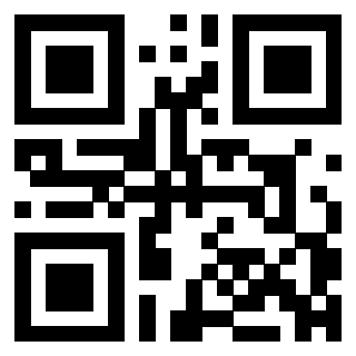 3304848675 - Immagine del QrCode