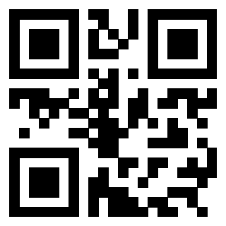 Il Qr Code di 3304848733