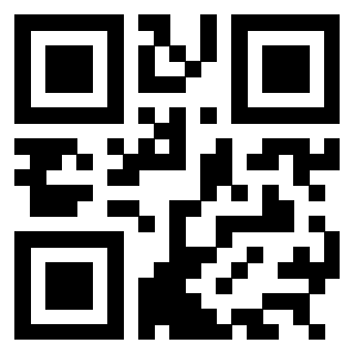 Il Qr Code di 3304848738