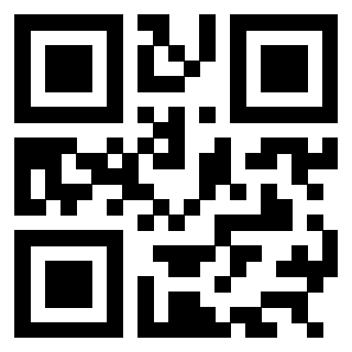 3304848739 - Immagine del QrCode