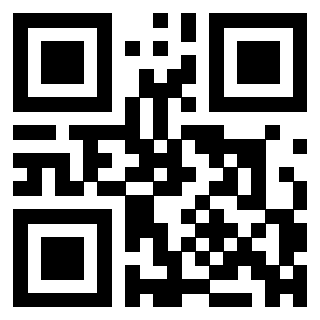 QrCode di 3304848771