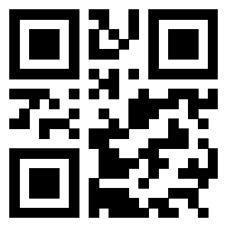 QrCode di 3304848805