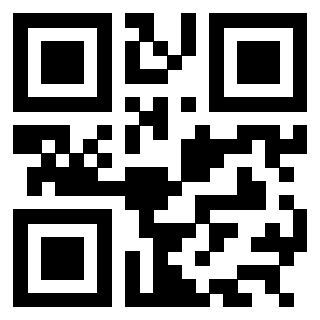3304848809 Qr Code associato
