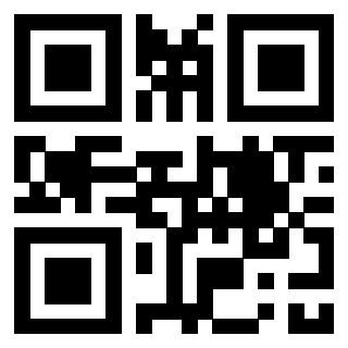Il Qr Code di 3304848902