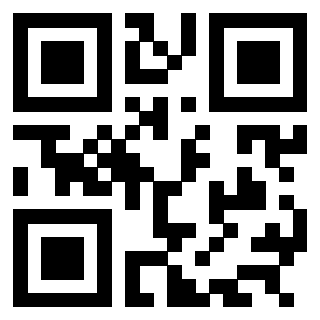 Il Qr Code di 3304848966