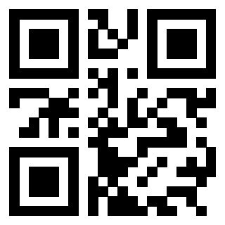 Il Qr Code di 3304849008