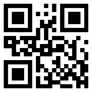 Il Qr Code di 3304849106