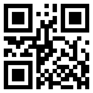 QrCode di 3304849195