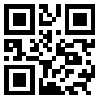 QrCode di 3304849231