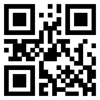 3304849389 - Immagine del QrCode