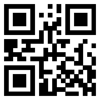 Il Qr Code di 3304849397