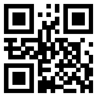 3304875602 - Immagine del QrCode