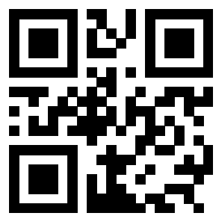 3304875618 QrCode associato