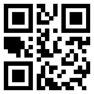3304875626 Qr Code associato