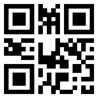 QrCode di 3304875636
