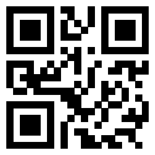 3304875691 - Immagine del QrCode associato