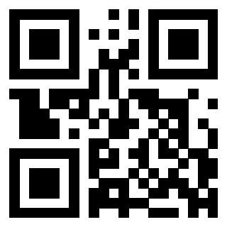 Il Qr Code di 3304875776