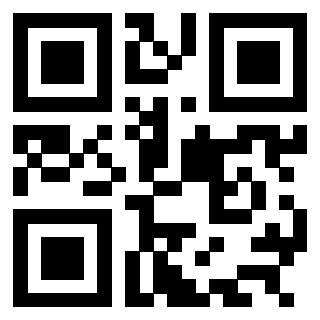 3304875856 - Immagine del QrCode associato