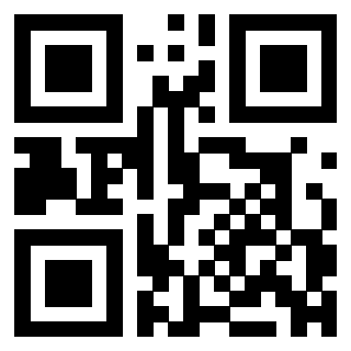 QrCode di 3304875881
