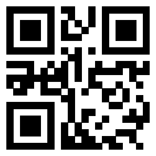 Il Qr Code di 3304875892