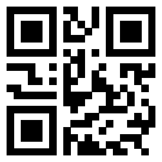 Immagine del Qr Code di 3304875984