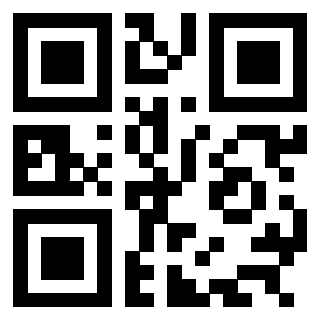3304876032 QrCode associato