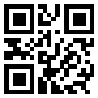 3304876039 - Immagine del QrCode associato