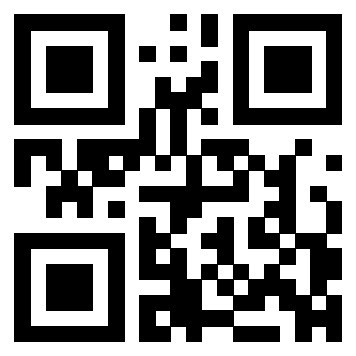 Il Qr Code di 3304876056