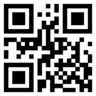 3304876092 - Immagine del QrCode