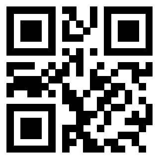 3304876099 - Immagine del QrCode associato