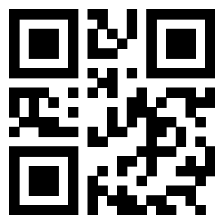 3304876125 - Immagine del Qr Code associato