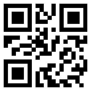 QrCode di 3304876163