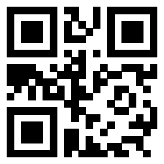 3304876202 - Immagine del QrCode