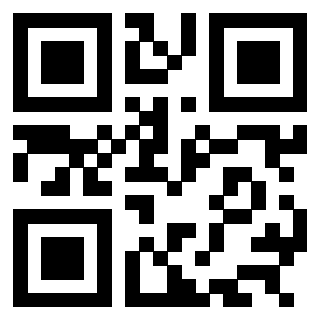 Il Qr Code di 3304876203