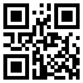 QrCode di 3304876238