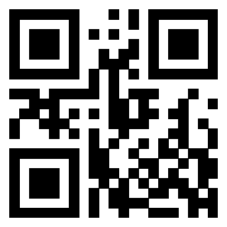 3304876325 QrCode associato