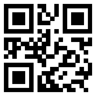 3304876344 Qr Code associato