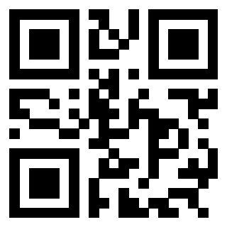 3304876387 - Immagine del QrCode