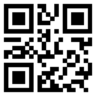 3304876393 - Immagine del QrCode