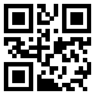 3304897813 Qr Code associato