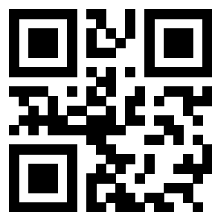 3304898133 - Immagine del QrCode