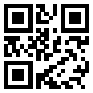 QrCode di 3304898134